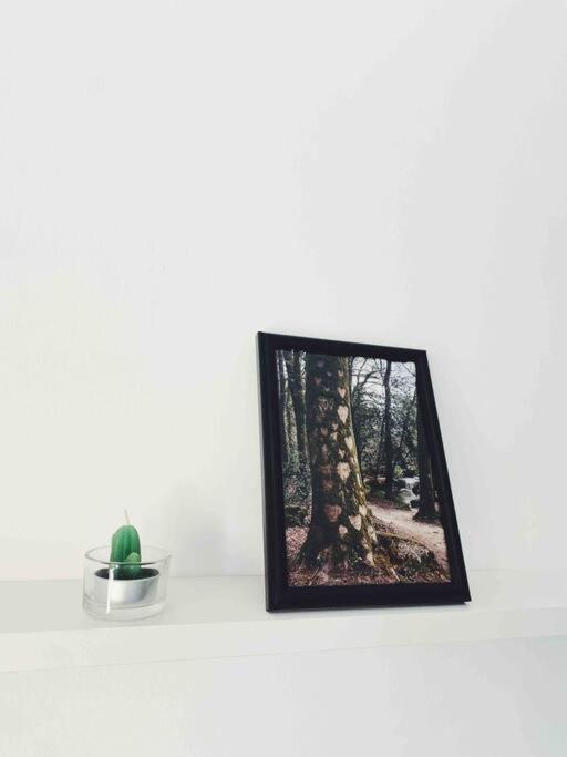 Апартаменты Precioso Apartamento Con Banera Hidromasaje Сопелана Экстерьер фото